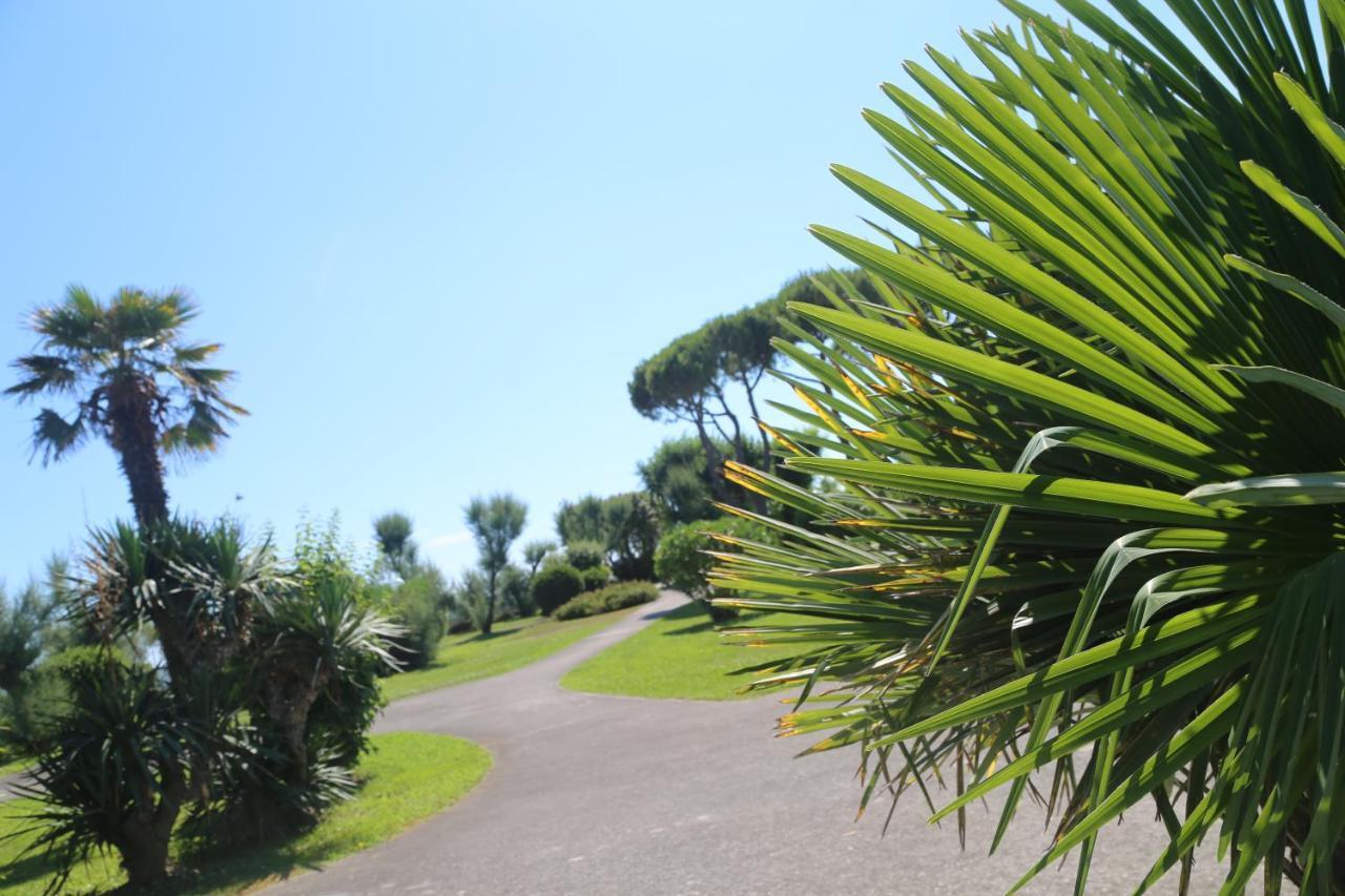 Seaside Terrace & Pool Getaway Apartment Cavallino-Treporti Exterior foto